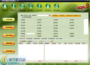 中顶汽车服务管理软件界面预览 中顶汽车服务管理软件界面图片